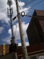 /album/fotogaleria-inicio/a596-0321-jpg/